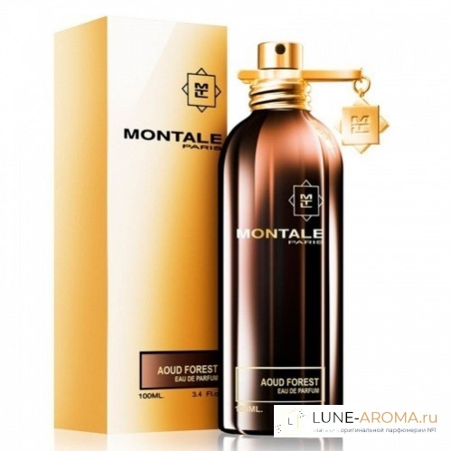 MONTALE Aoud Forest
