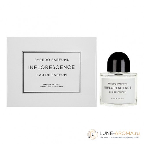 BYREDO Inflorescence