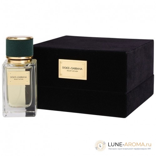 DOLCE & GABBANA Velvet Vetiver