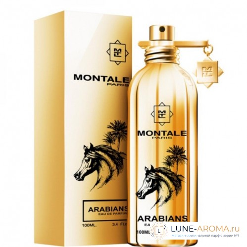 MONTALE Arabians