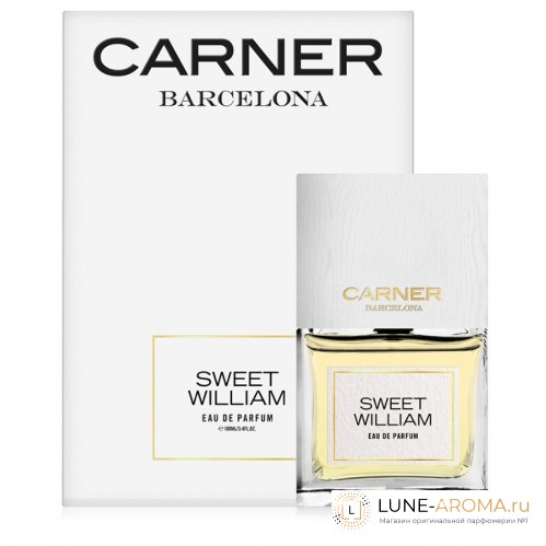 Carner Barcelona Sweet William