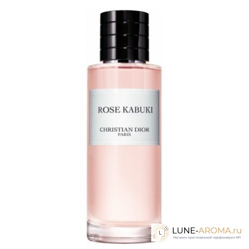 Christian Dior Rose Kabuki