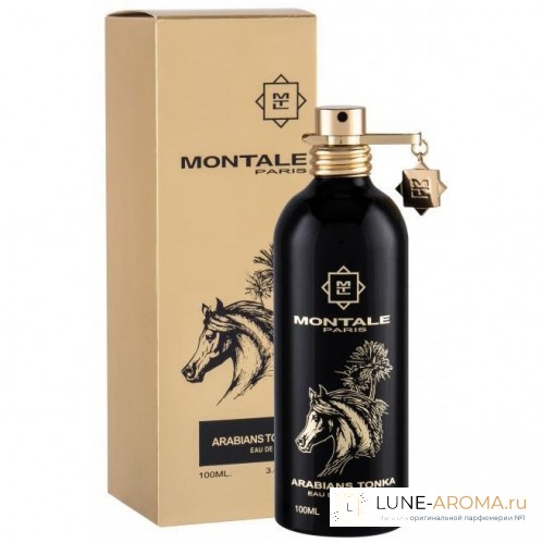 MONTALE Arabians Tonka