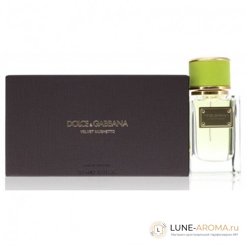 DOLCE & GABBANA Velvet Mughetto