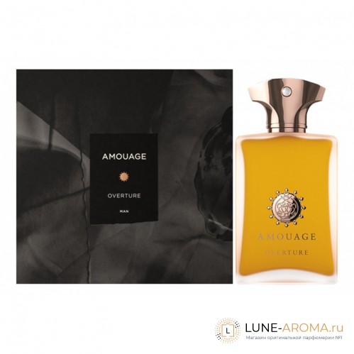 Amouage Overture Man