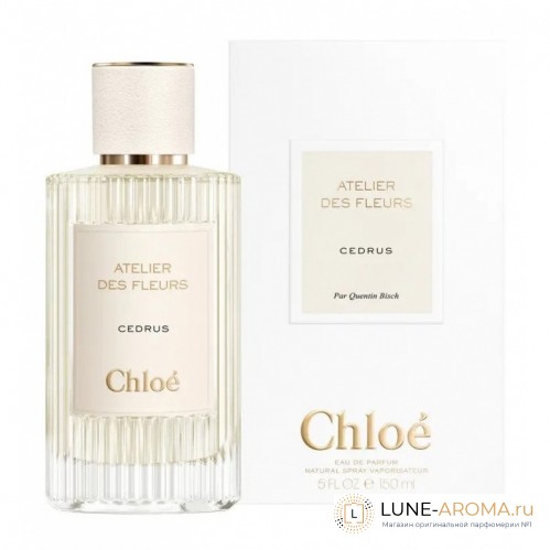 Chloe Atelier Des Fleurs Cedrus