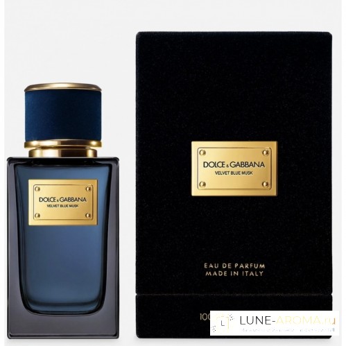 DOLCE & GABBANA Velvet Blue Musk