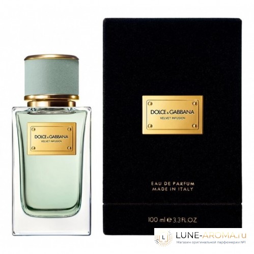 DOLCE & GABBANA Velvet Infusion